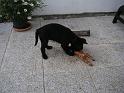 Bild 008